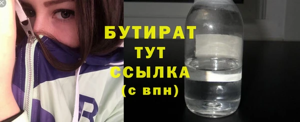 гидра Горняк
