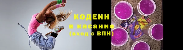 гидра Горняк