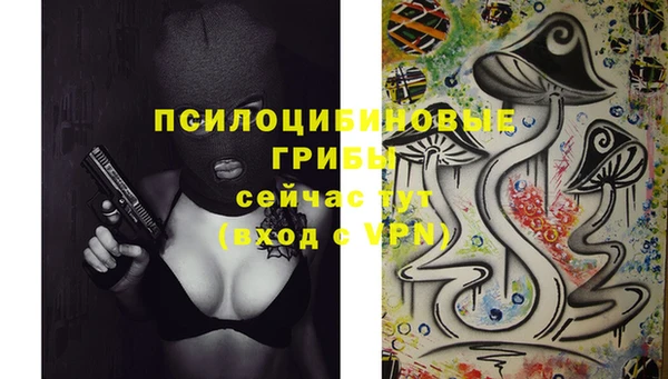 стаф Горно-Алтайск